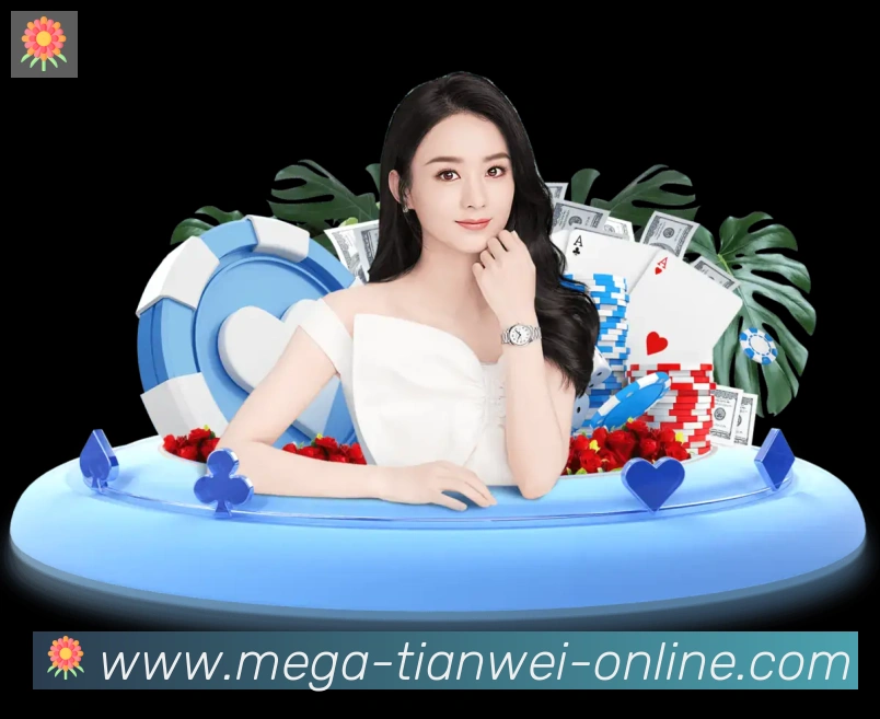 未来规划